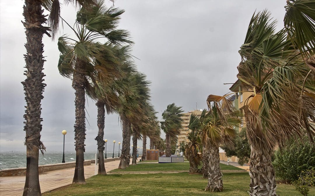 7 Ways to Prepare Your Home for Hurricane Season