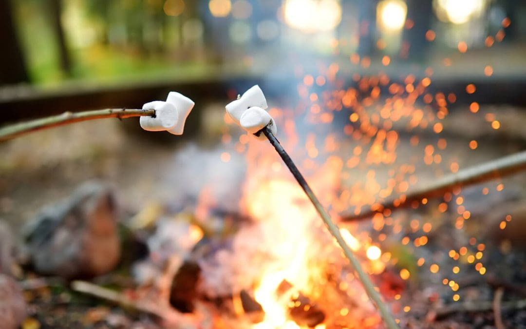 Gather Around Safely: The Homeowner’s Guide to Fire Pit Safety