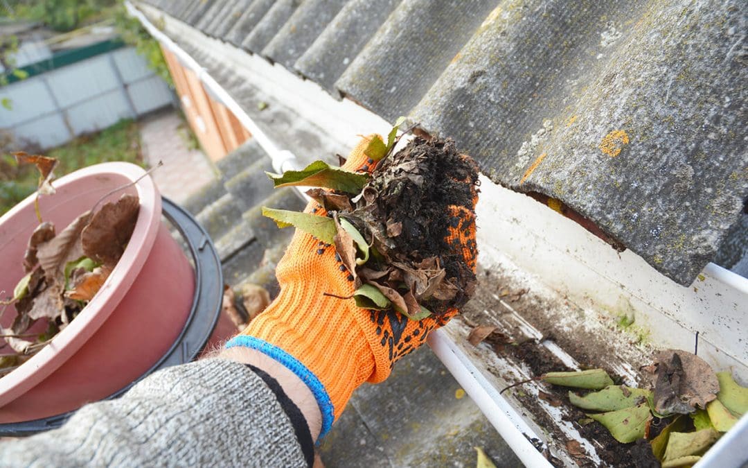 Exterior Maintenance