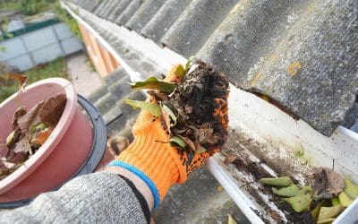 Don’t Neglect the Outside: The Exterior Maintenance Every Homeowner Needs